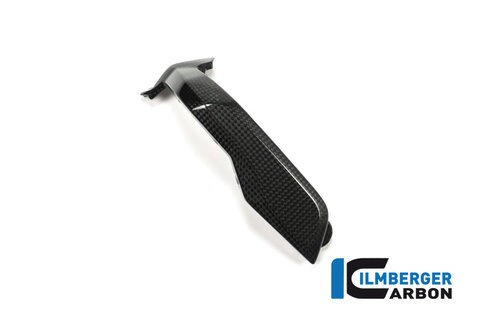 Carbon Abdeckung Zündkerzenstecker, links für BMW R1200GS LC, R1200R LC und RS LC ab 2015