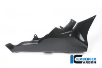 BMW S1000RR 2017+ Bellypan Street BMW S1000RR 2017+ Bellypan Street