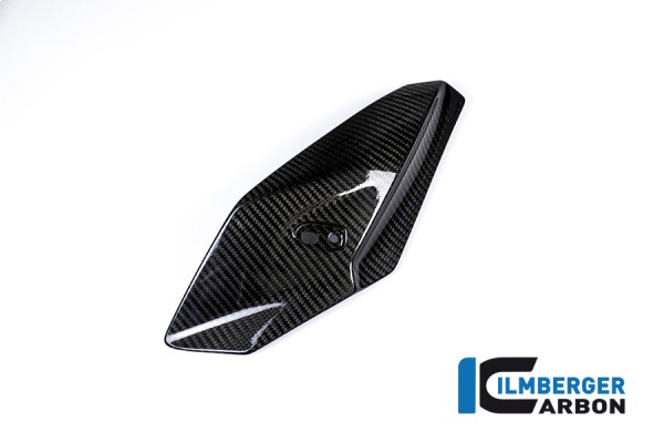 BMW S1000R - Carbon Front Fairing Side Panel left Side