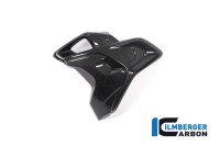 Preview: Carbon Windkanal links inklusive Flap (2tlg) für BMW R1250 GS Preview: Carbon Windkanal links inklusive Flap (2tlg) für BMW R1250 GS