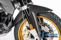 Carbon Kotflügel vorne für BMW R1250 GS Carbon Kotflügel vorne für BMW R1250 GS