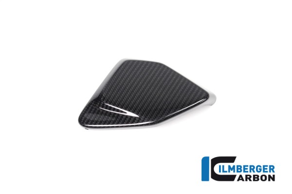 Carbon Abdeckung ESA Box für BMW R1250 GS