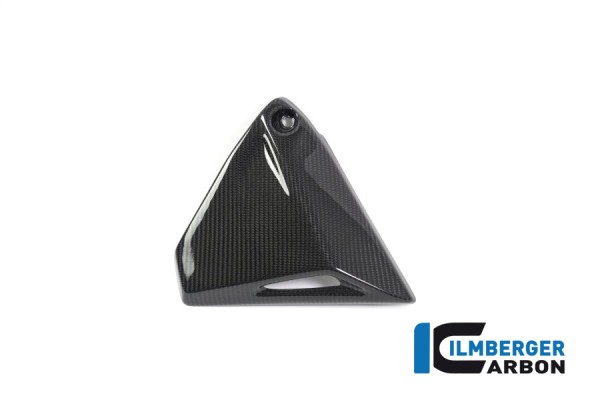 Carbon Rahmendreieckcover rechts für BMW R1250GS und R1250R / RS