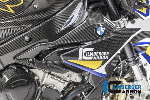 BMW S1000R 2017+ Carbon Fairing Side Panel (left side)