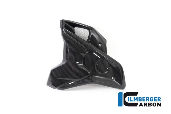 Carbon Windkanal links inklusive Flap (2tlg) für BMW R1250 GS