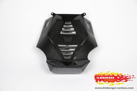 BMW R1200R LC and R1200RS LC 2015+ Carbon Bellypan Central Part