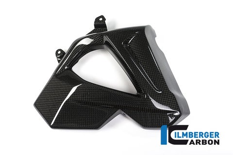 F800R Radiator Cover (right side)