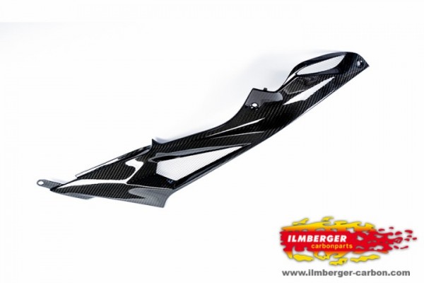 BMW S1000R and S1000RR Street 2015+ Carbon Tank Side Panel right Side