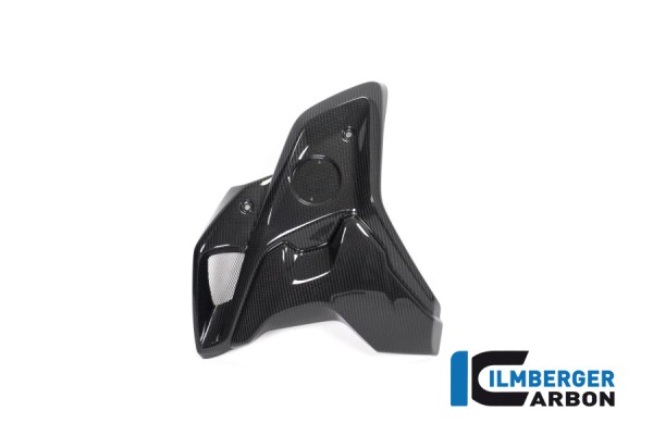 Carbon Windkanal links inklusive Flap (2tlg) für BMW R1250 GS