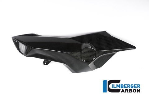 BMW F800R 2015+ Carbon Injection Cover, left Side