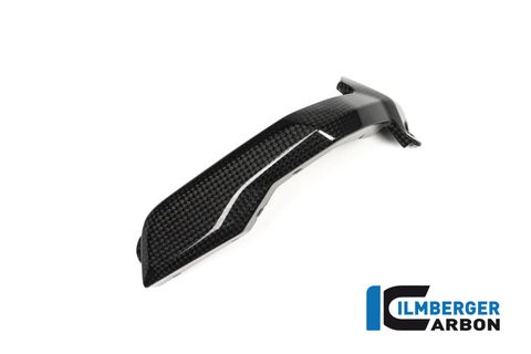 BMW R1200GS LC, R1200R LC und LC 2015+ Carbon Cover Spark Plag, right Side
