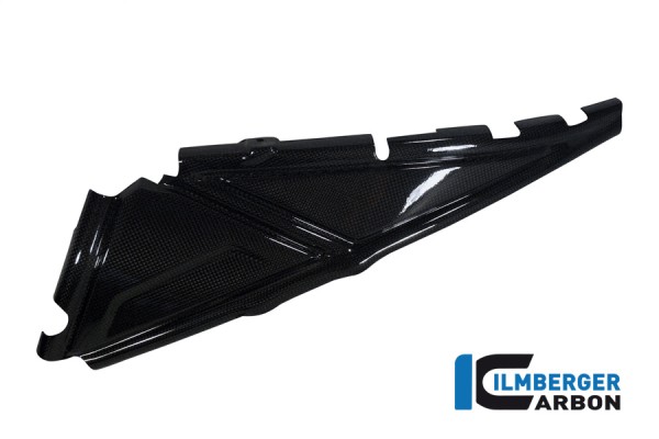 BMW R1200GS LC Carbon Rear Frame Cover Left Side