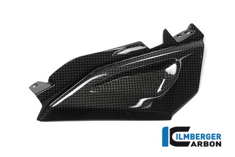 BMW F800R 2015+ Carbon Cover Above the Injection Cover, left Side