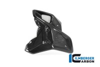 Preview: Carbon Windkanal links (für orig. Edelstahl Wasserkühlerabdeckung) für BMW R1250 GS Preview: Carbon Windkanal links (für orig. Edelstahl Wasserkühlerabdeckung) für BMW R1250 GS