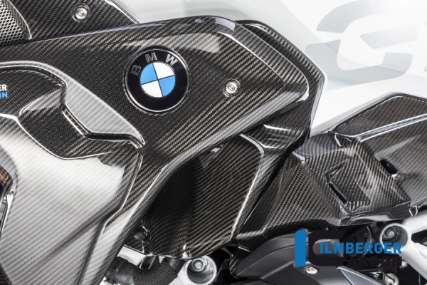 Carbon Luftauslassverkleidung links für BMW R1250 GS ab BJ.2019